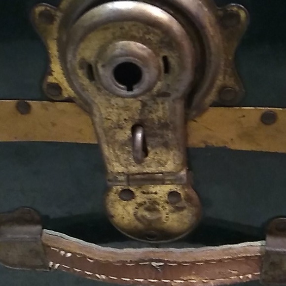 Chest/trunk - Picture 4 of 4